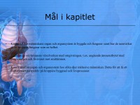 /album/matspjalkningssystemet/a6-matspja%cc%88lkningssystemet-002-jpeg/
